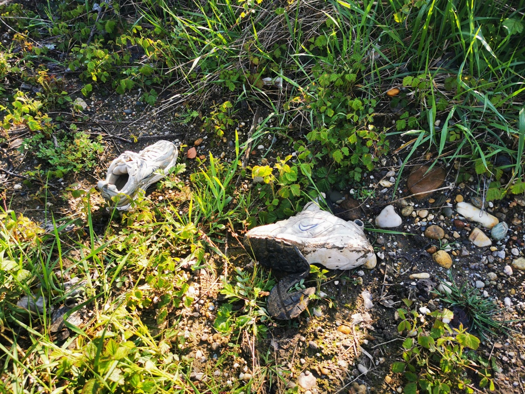 Image 5666873 (auto)