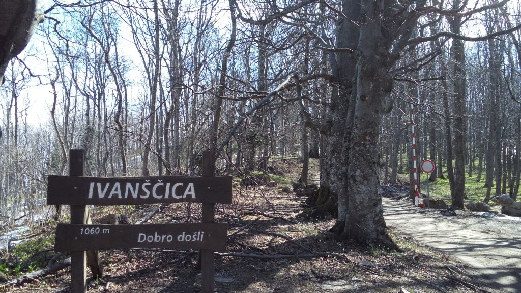 20150411102948938306