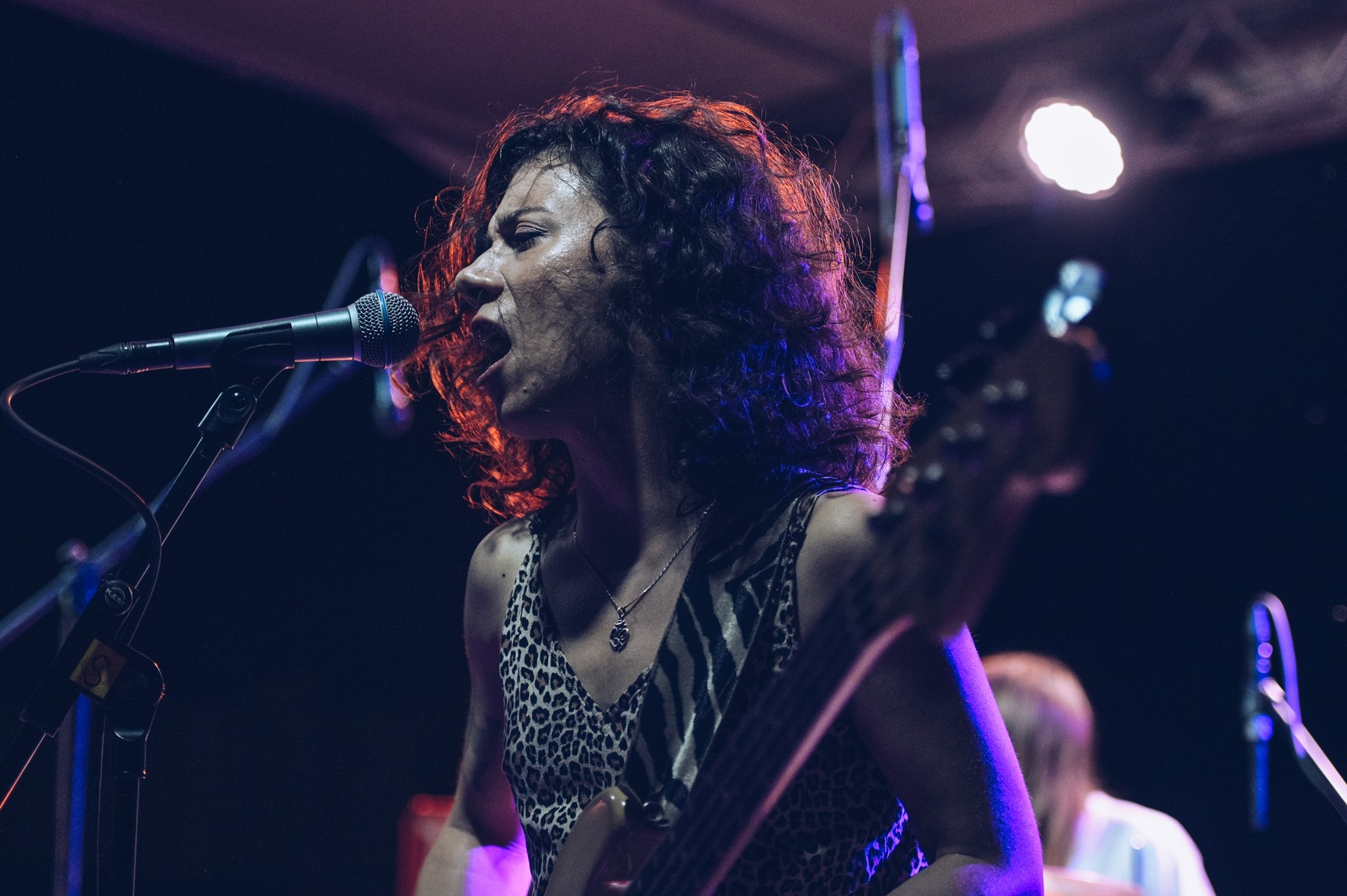 Image 4967722 (auto)