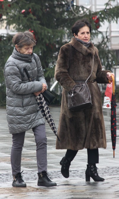 Image 5555321 (auto)