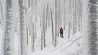 Ivanščica snijeg zima prognoza planina šuma