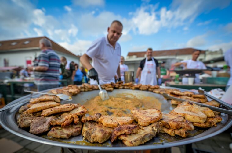 dan varaždinskog placa siniša sović (13)