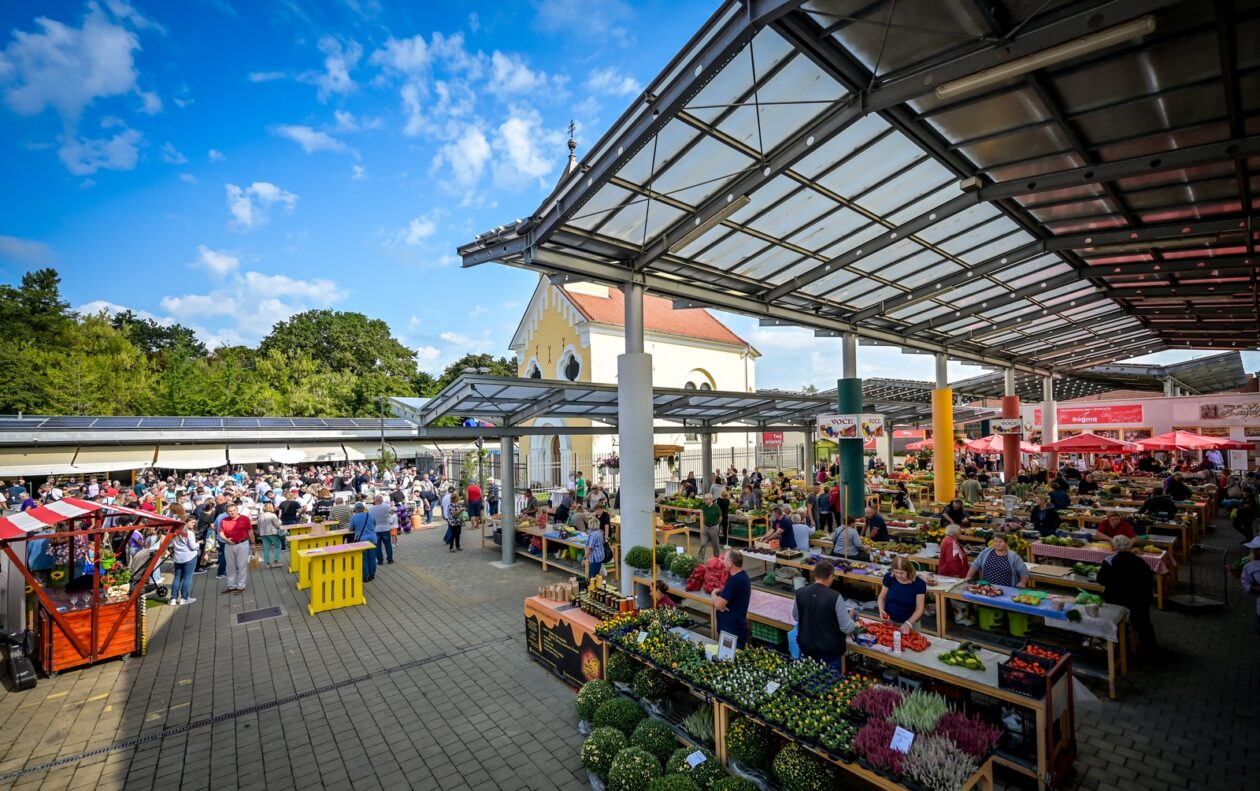 dan varaždinskog placa siniša sović (4)