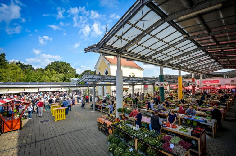 dan varaždinskog placa siniša sović (4)