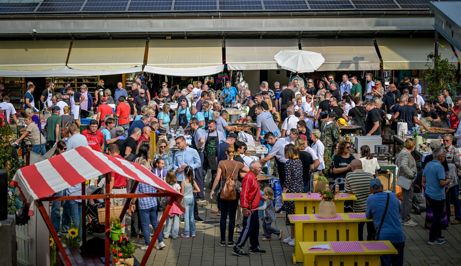 dan varaždinskog placa siniša sović (5) dan varaždinskog placa siniša sović (5)