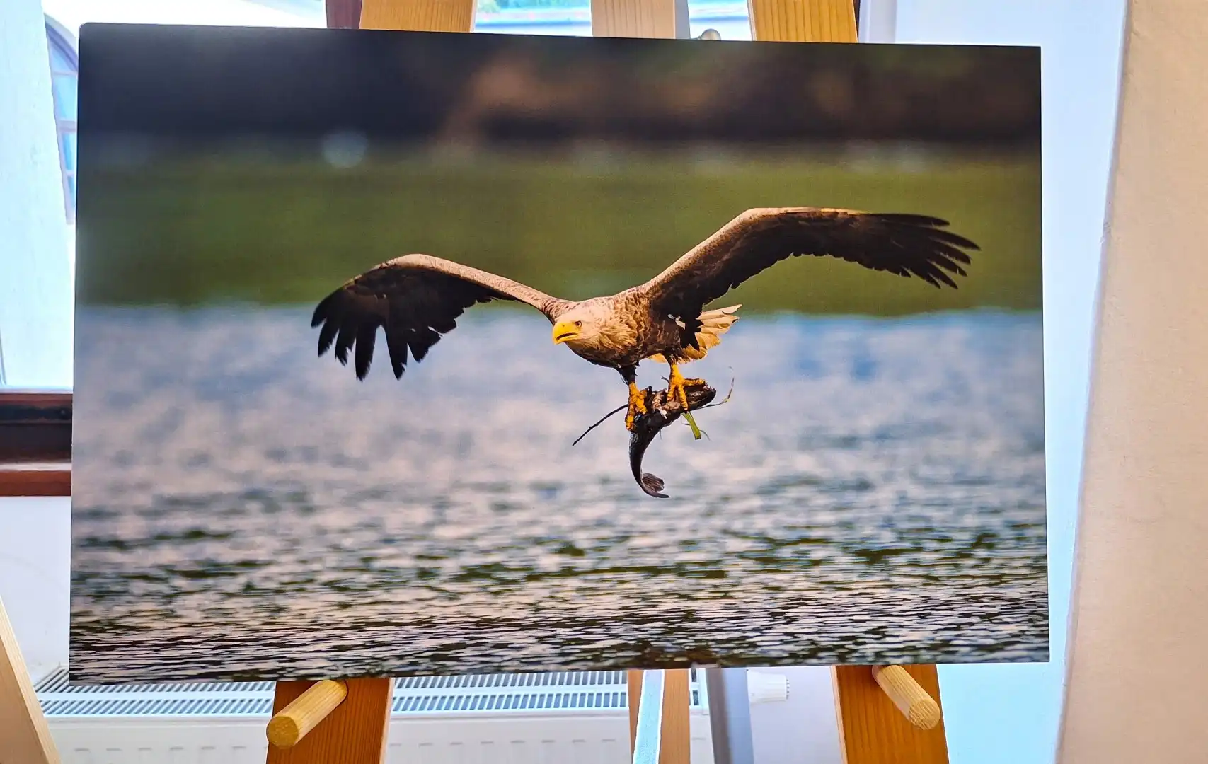 dan_rijeke_drave_2024 (6) dan_rijeke_drave_2024 (6)