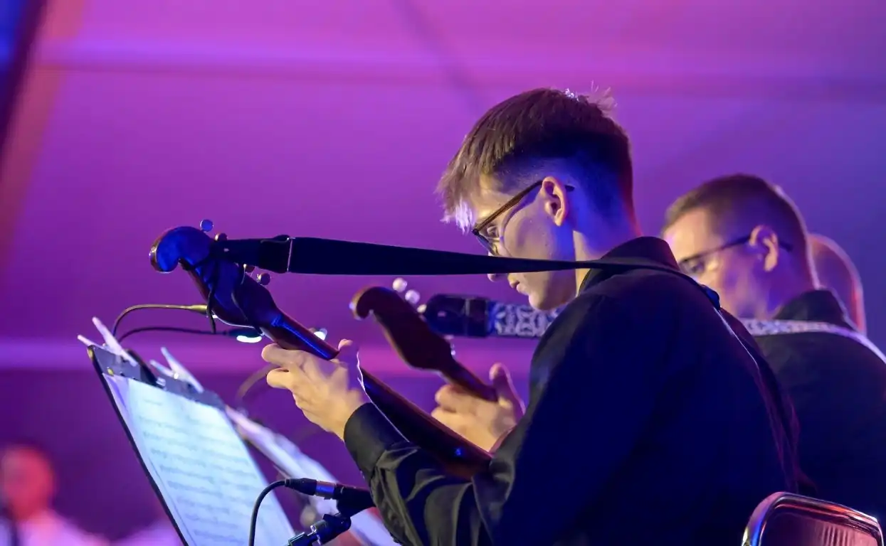 dan_zupanije_dvorac_opeka_husari_koncert_2024 (23)