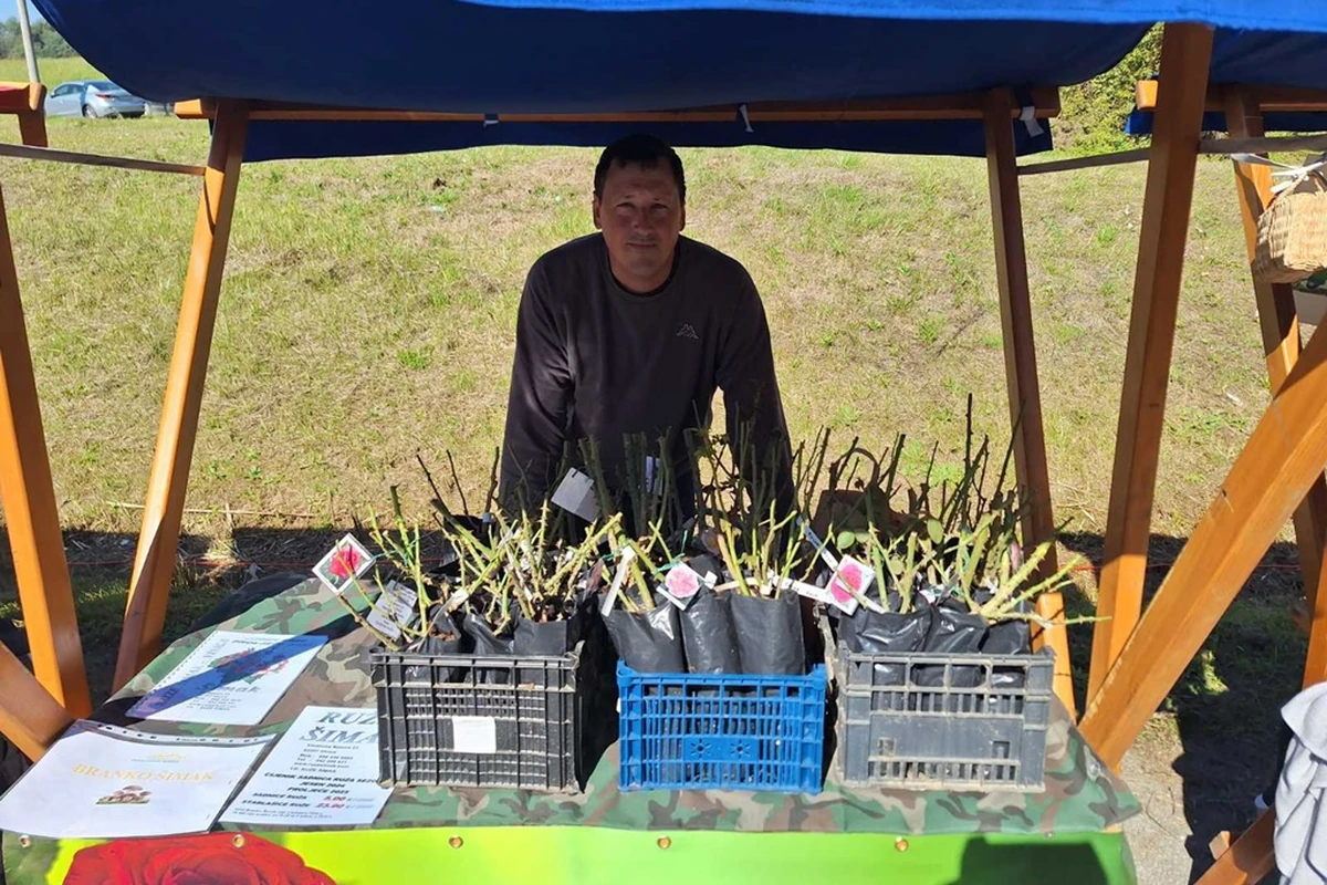 dani vrganja paka.jpg 14 – foto grad novi marof 07