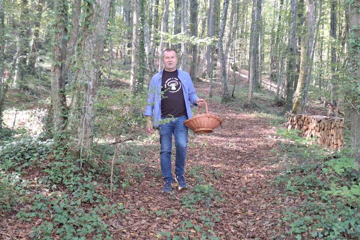 dani vrganja paka.jpg 5 – foto grad novi marof 15