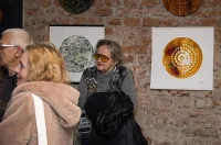 darko mesek – vanima 05