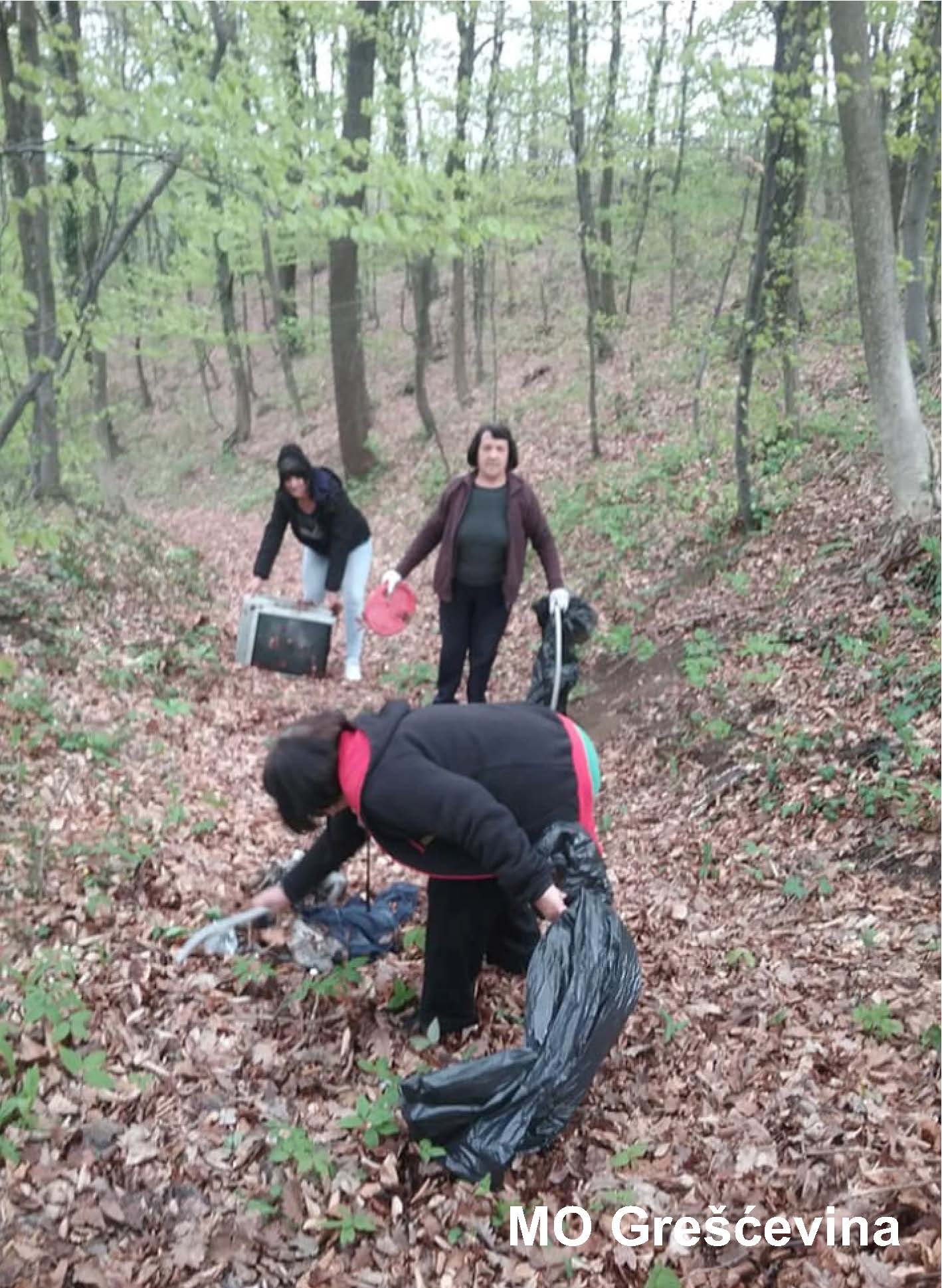 Image 3553235 (auto)