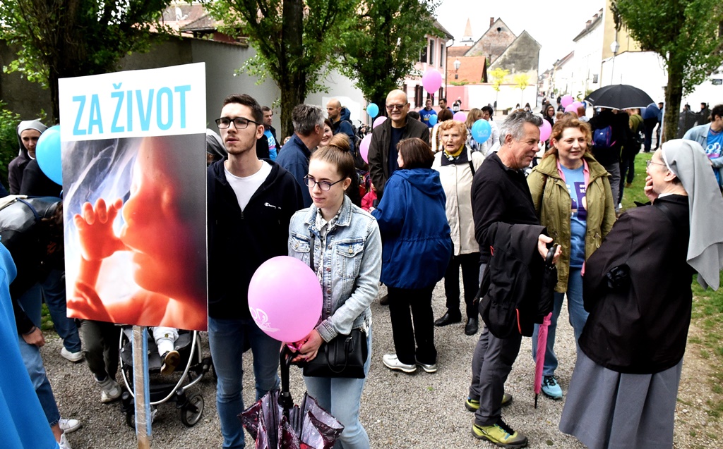 Image 5345632 (auto)