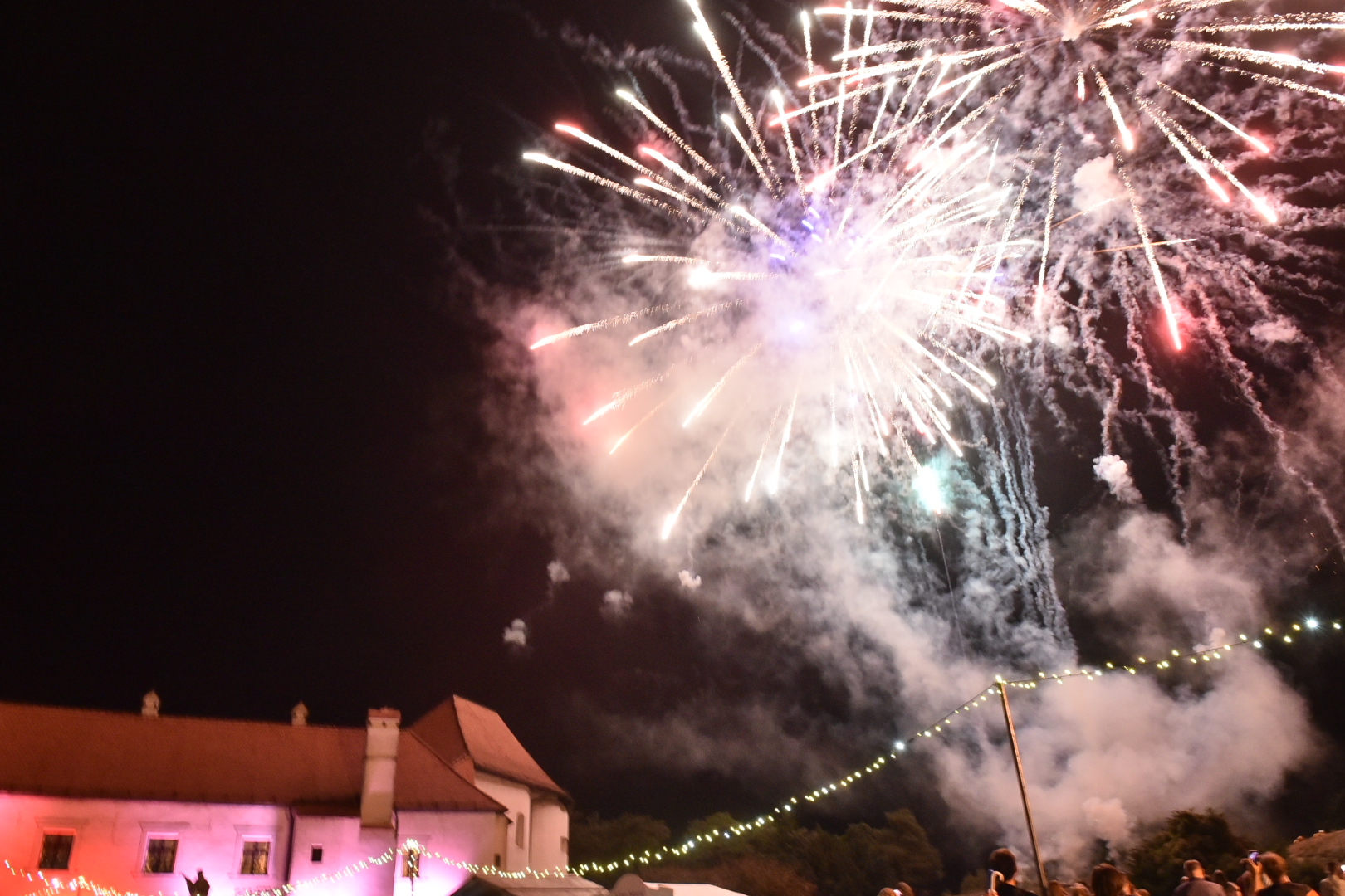 Image 5450418 (auto)