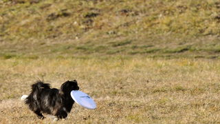 Klikom po Dravi Klikom po Dravi