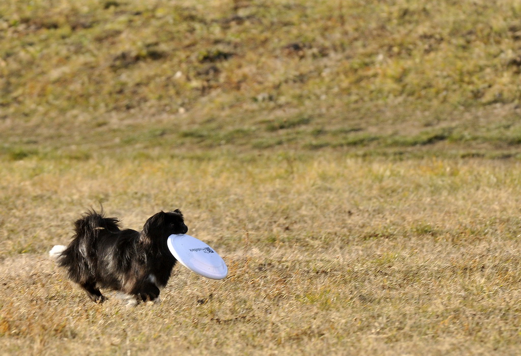 Klikom po Dravi Klikom po Dravi