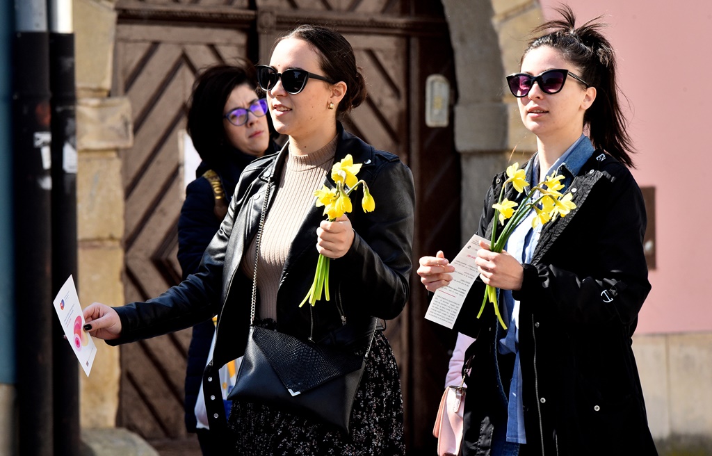 Image 4863640 (auto)