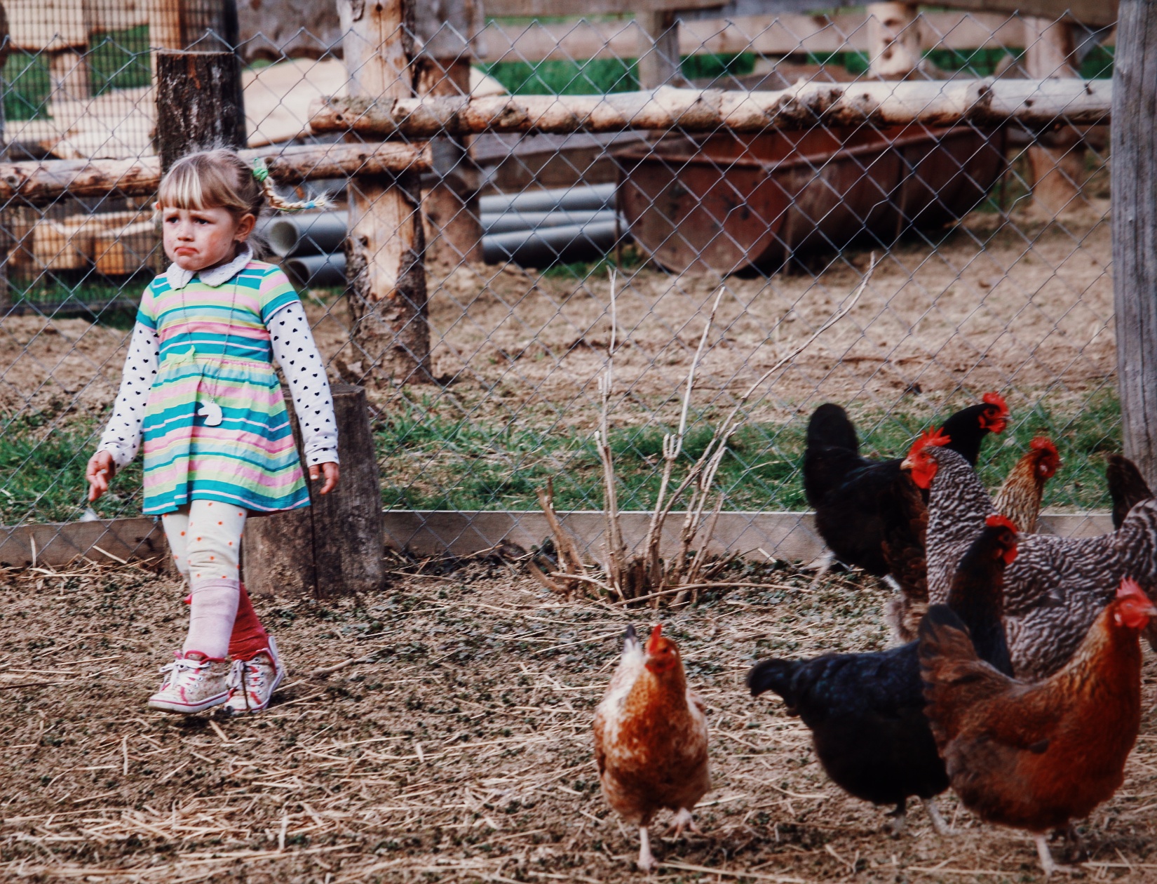 Image 4112821 (auto) Image 4112821 (auto)