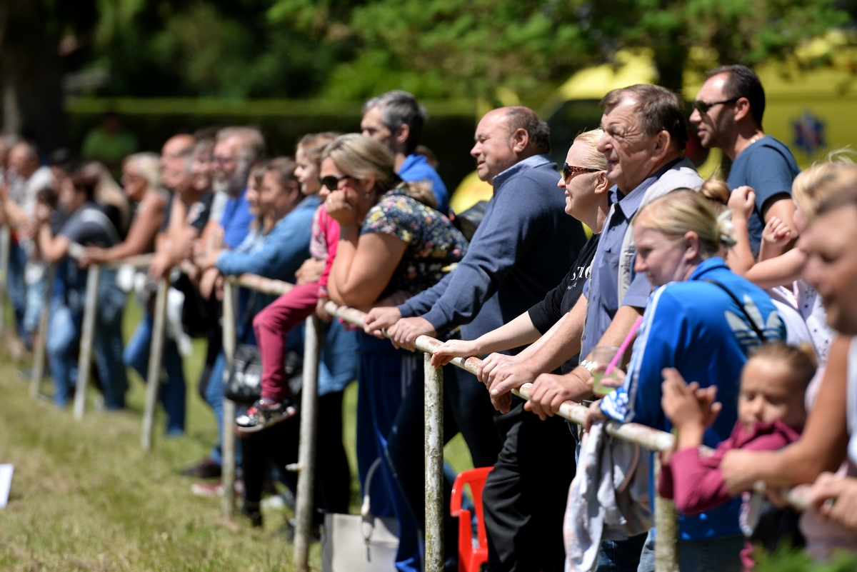 Konjičke igre u Zelendvoru