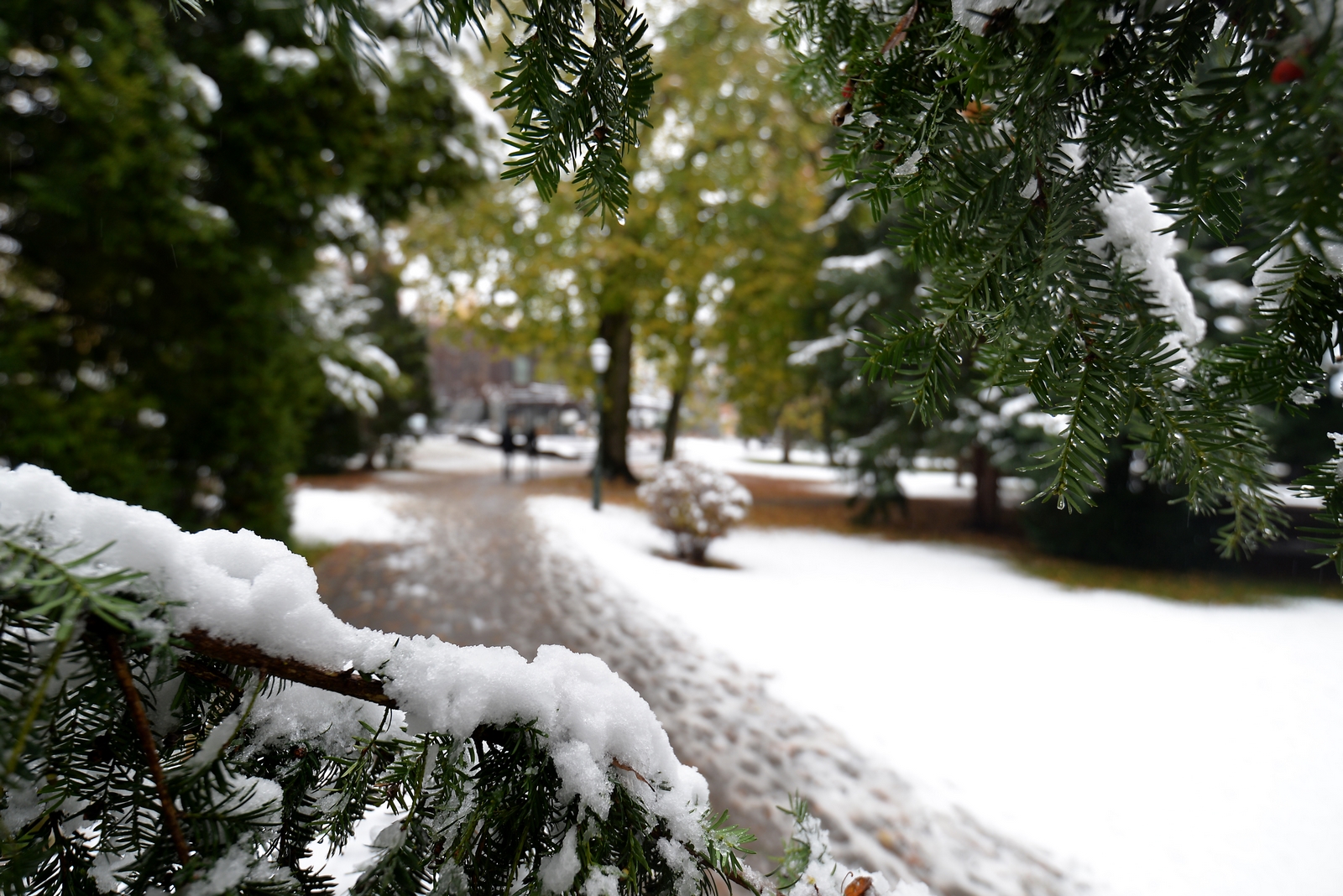 Varaždin pod snijegom Varaždin pod snijegom