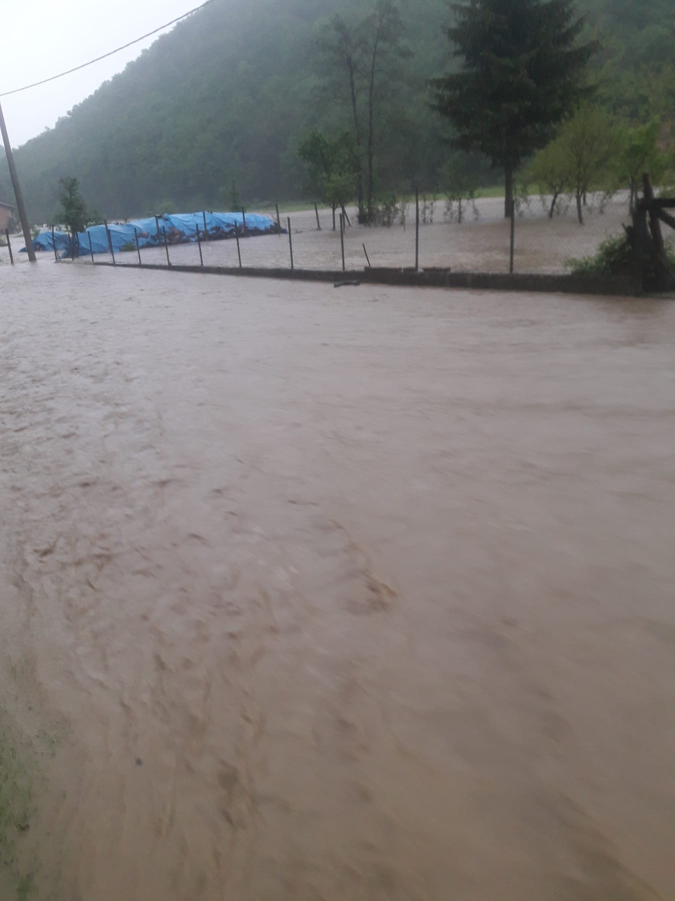 Image 5696731 (auto)