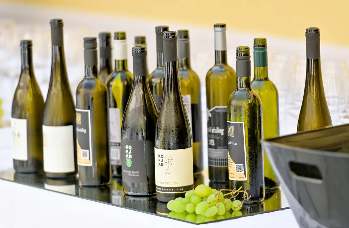 decanter_vina_vz_zupanija_2025 (14) decanter_vina_vz_zupanija_2025 (14)