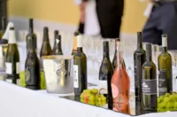 decanter_vina_vz_zupanija_2025 (9) decanter_vina_vz_zupanija_2025 (9)