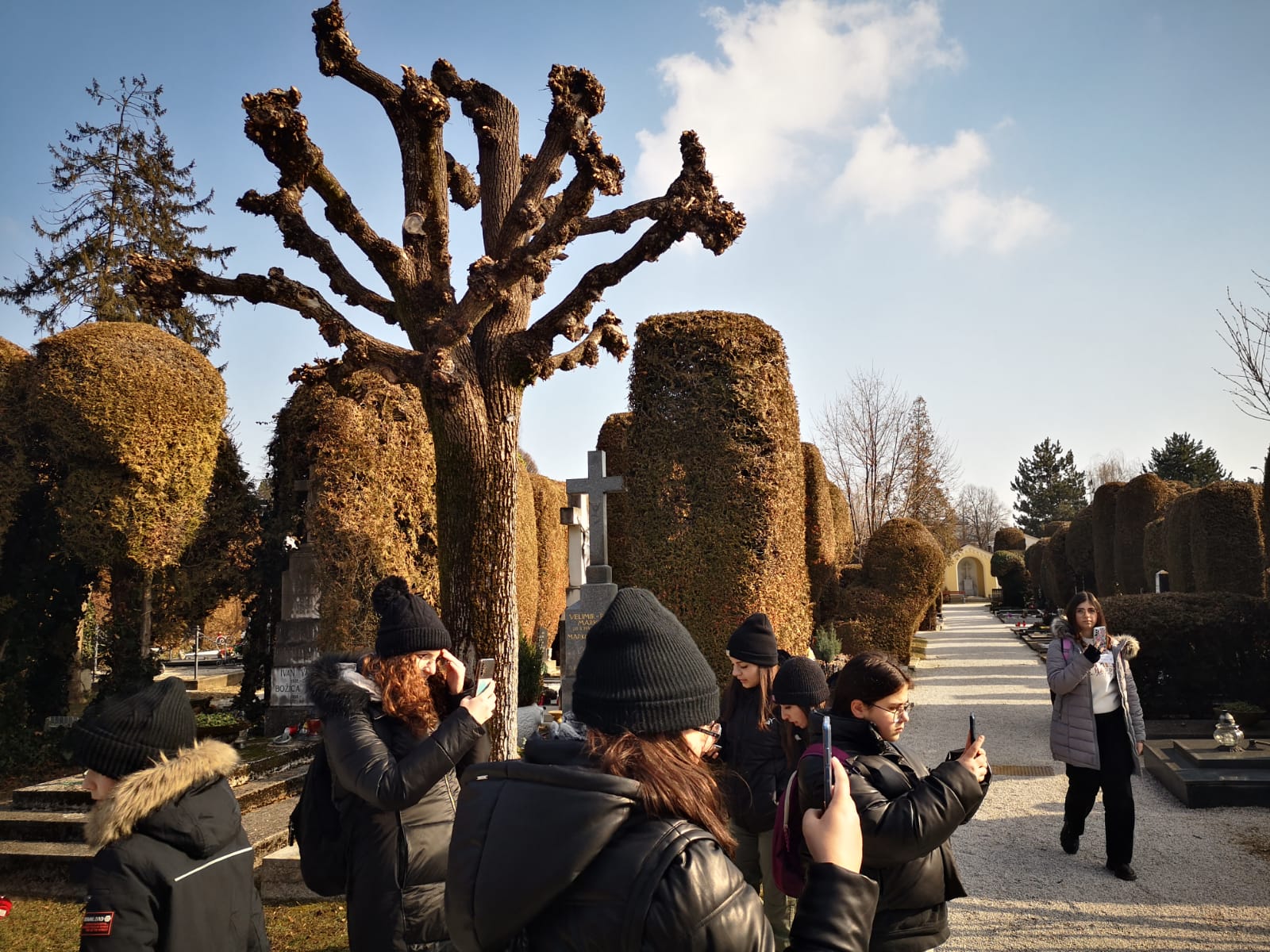 Image 5605381 (auto)