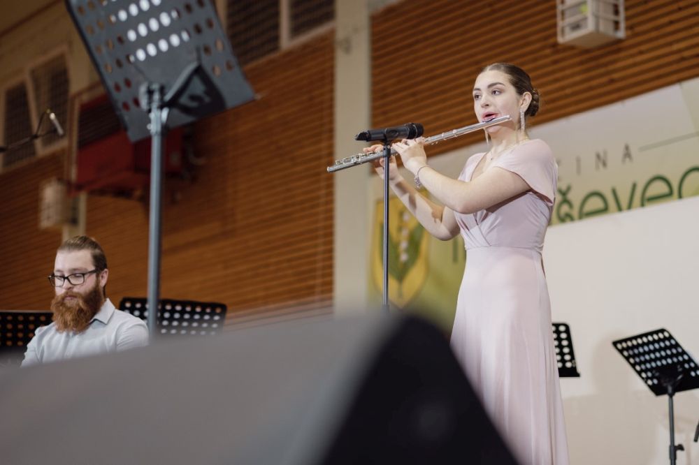 Image 5911833 (auto)