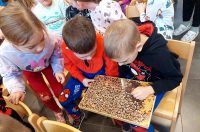 djecji vrtic marof – medarica (11)