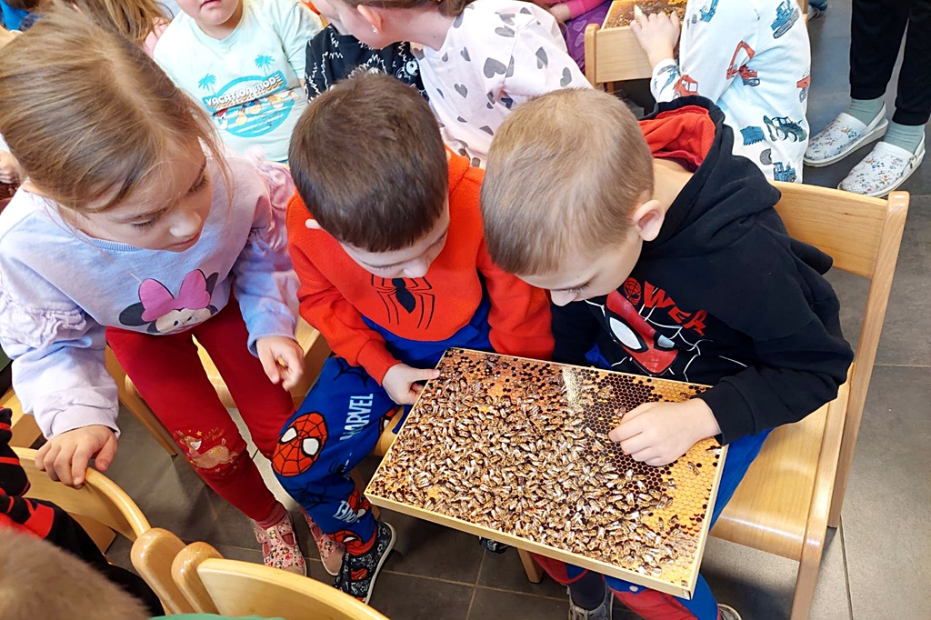 djecji vrtic marof – medarica (11)