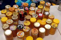 djecji vrtic marof – medarica (14)