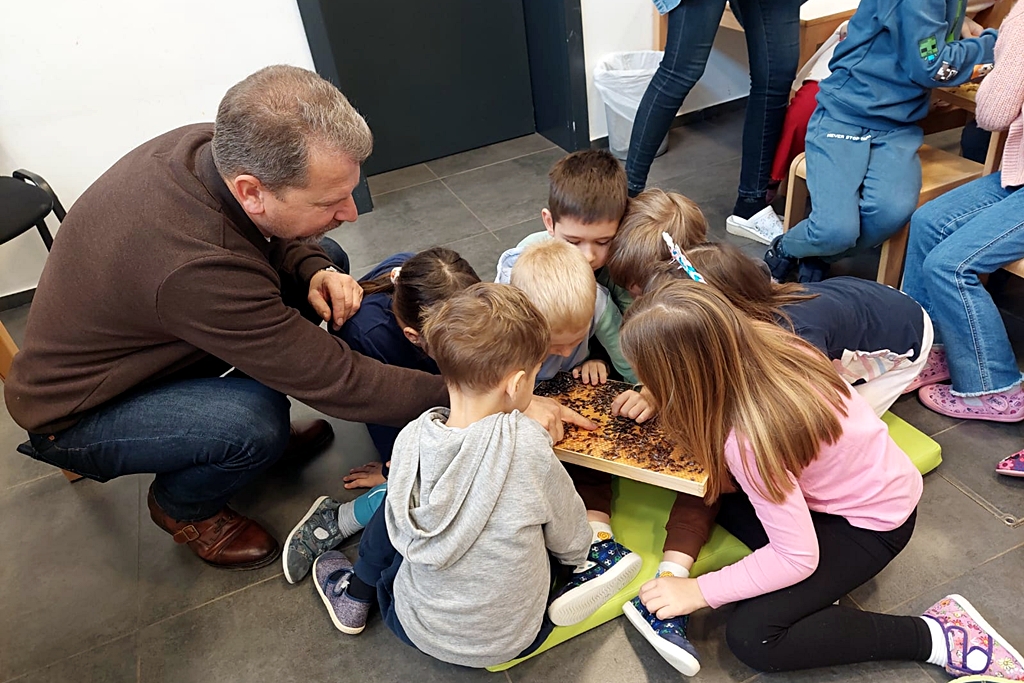 djecji vrtic marof – medarica (6)