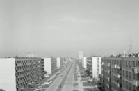 djurek kvartovske price (11)