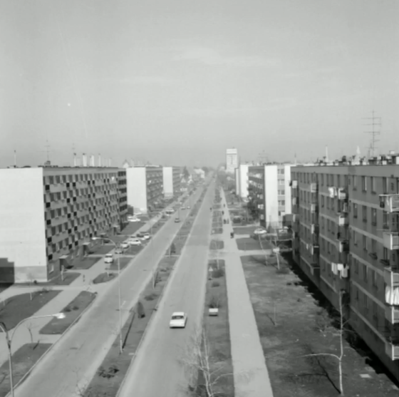 djurek kvartovske price (11)