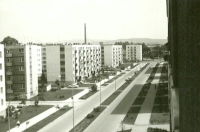 djurek kvartovske price (5)