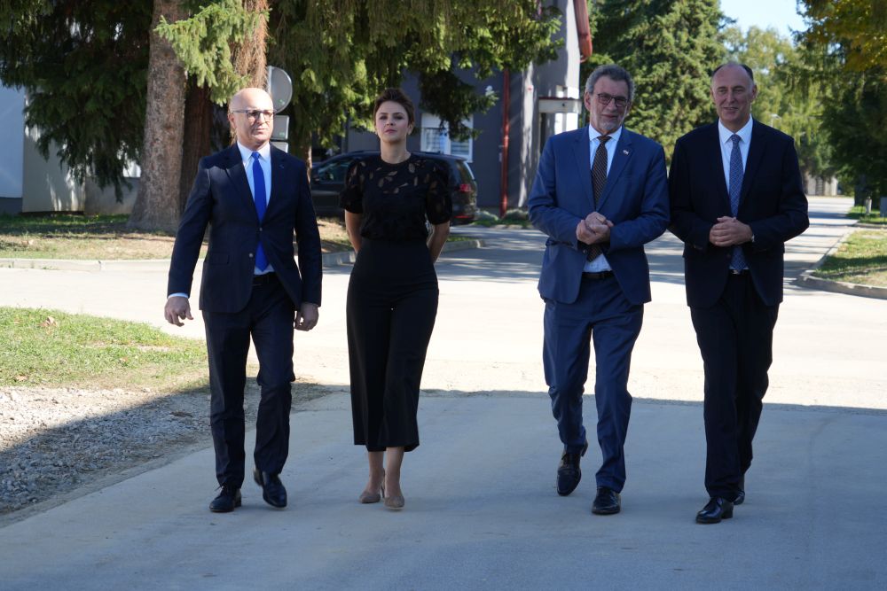 domsjever05 domsjever05