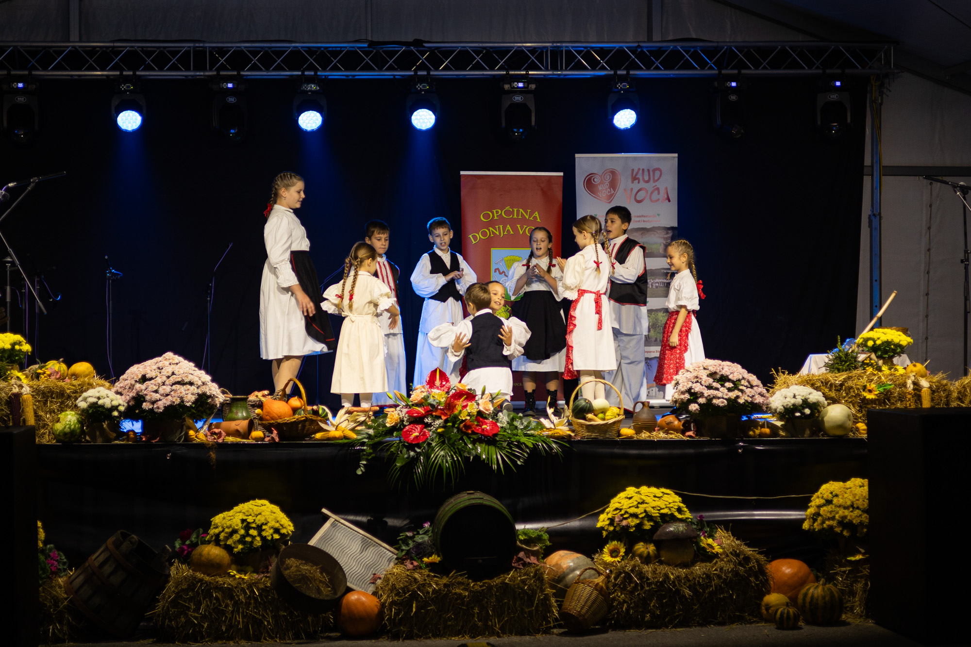 donja_voca_9_11_202413 donja_voca_9_11_202413