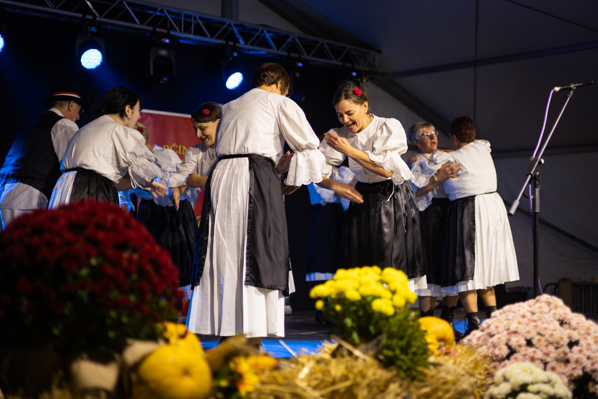 donja_voca_9_11_202418 donja_voca_9_11_202418