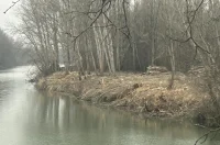 drava bageri – goran stimec 02