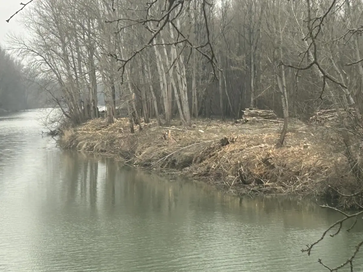 drava bageri – goran stimec 02