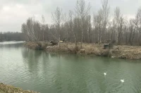 drava bageri – goran stimec 04