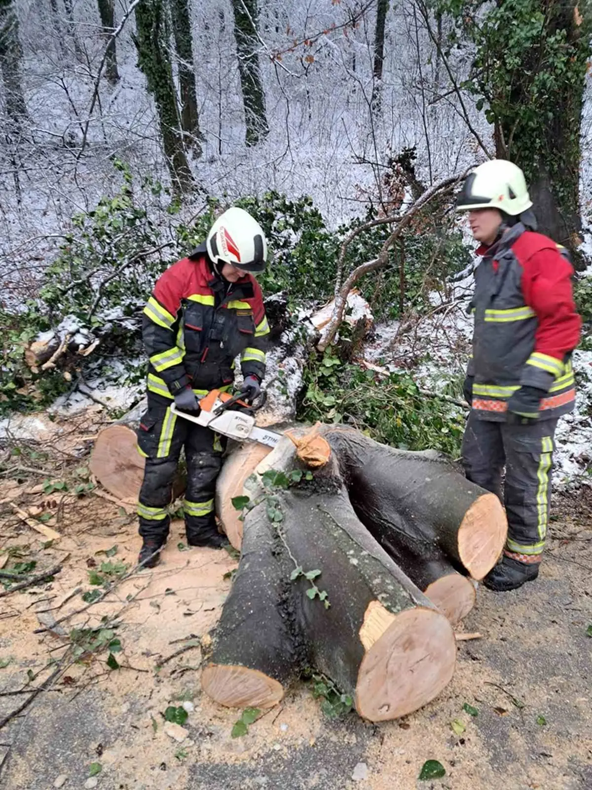 dvd varazdinske toplice (10)