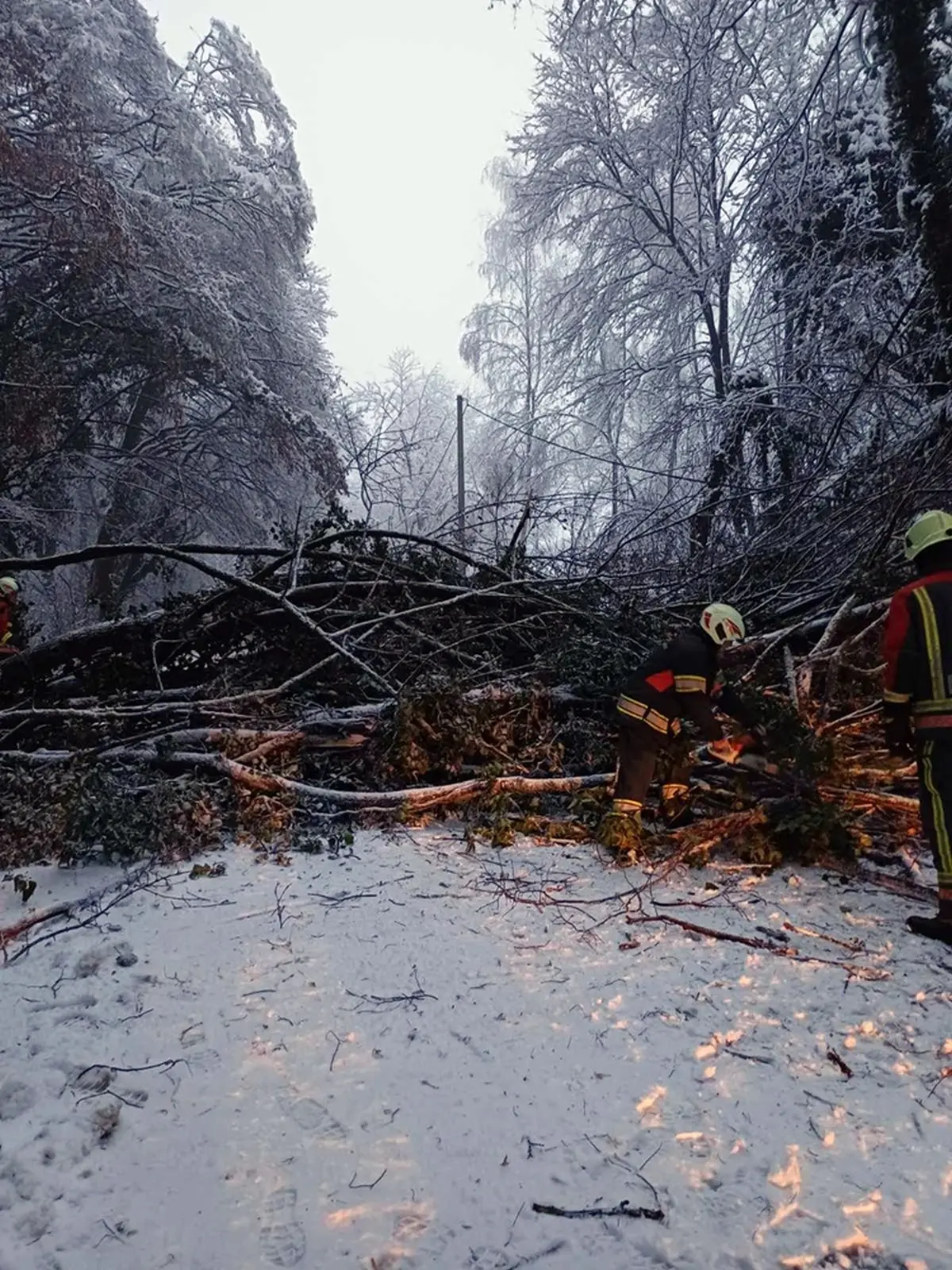 dvd varazdinske toplice (11)