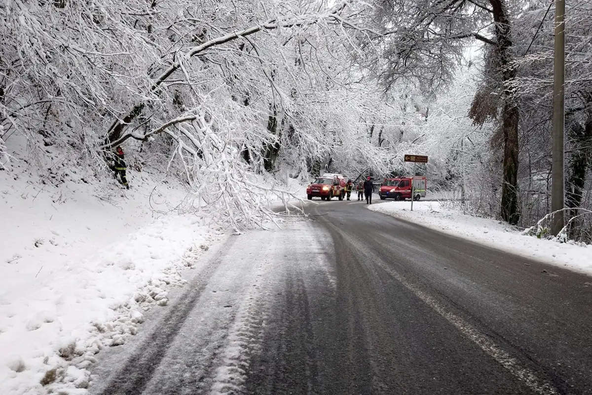 dvd varazdinske toplice (2)