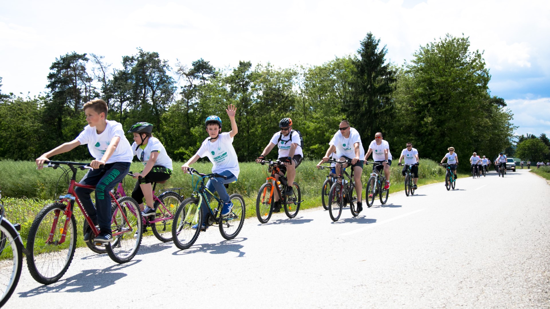 Image 3652561 (auto) Image 3652561 (auto)