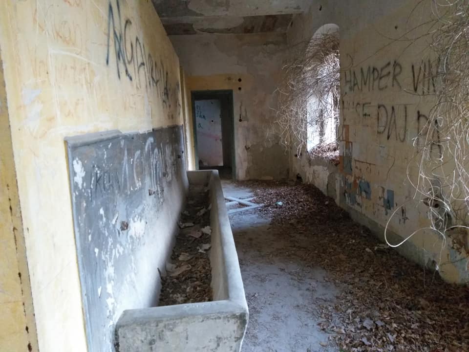 Dvorac Bombelles, Arboretum Opeka