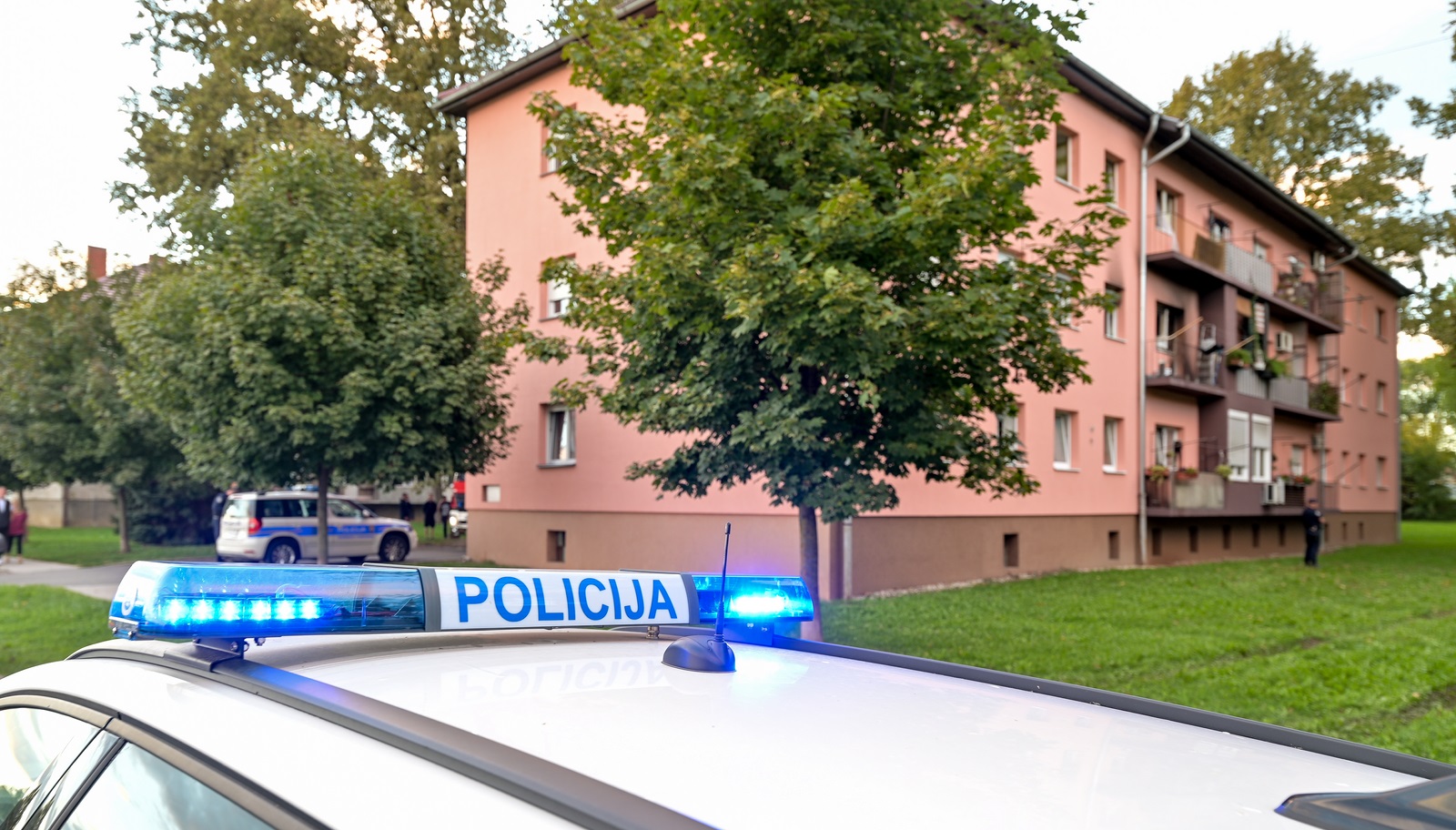 Image 5470624 (auto)