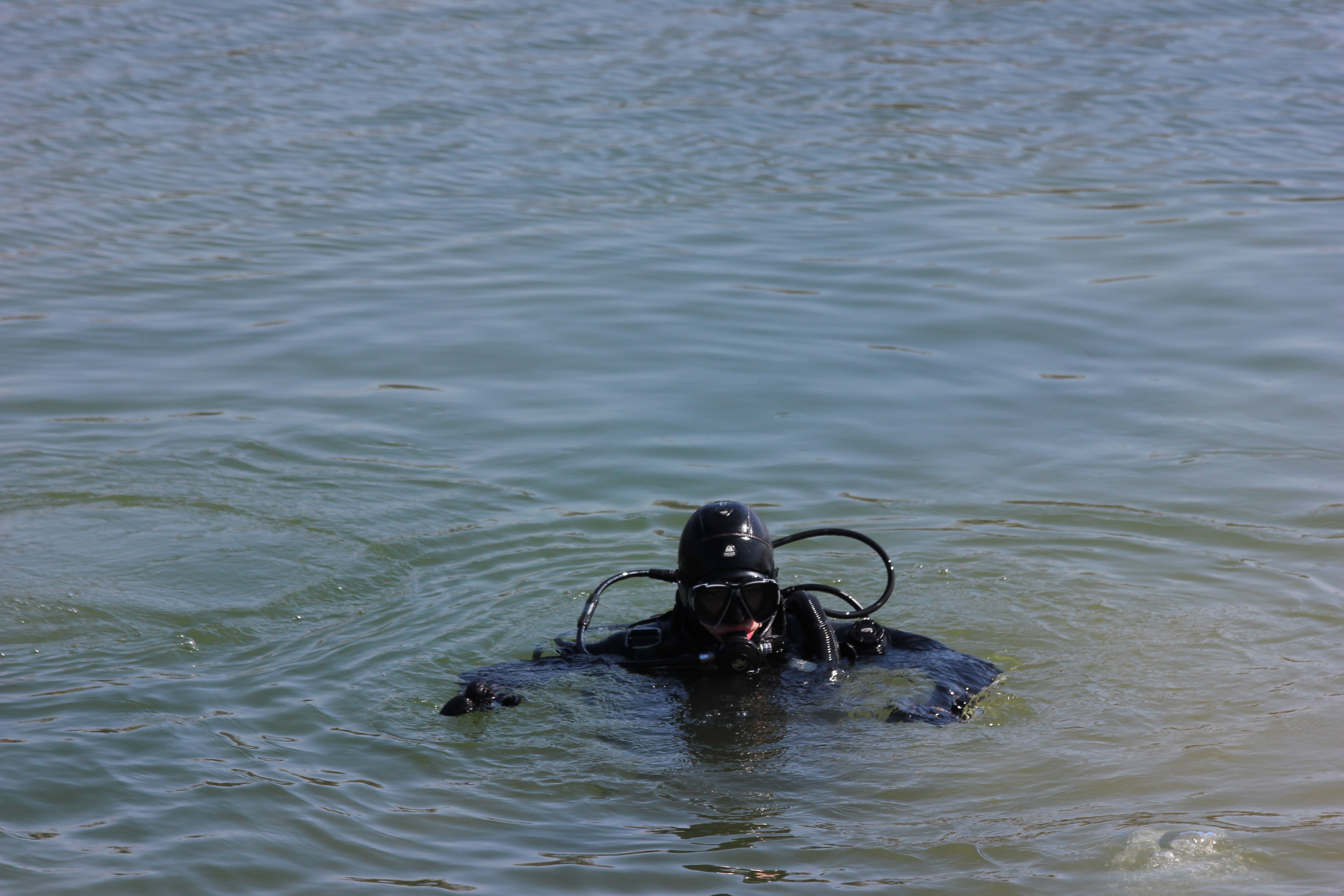 Čišćenje Drave Čišćenje Drave