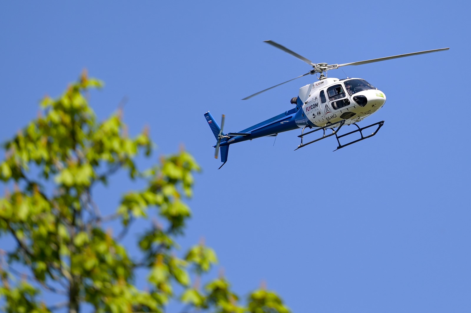 WRC Rally Trakošćan