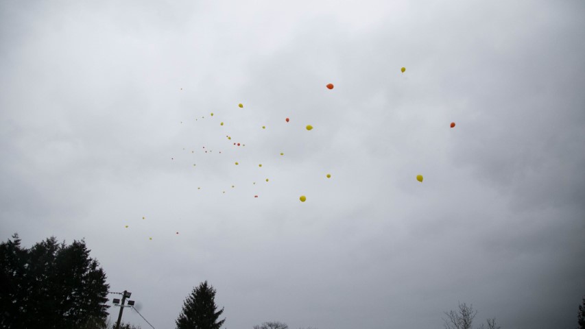 Image 5642133 (auto)